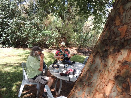 Trentham Winery Music in garden